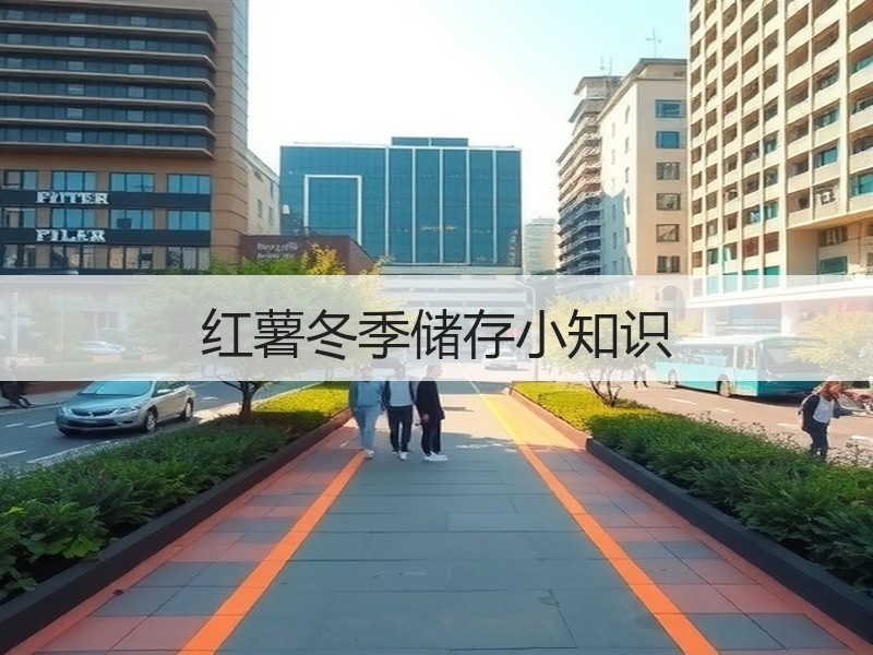 红薯冬季储存小知识