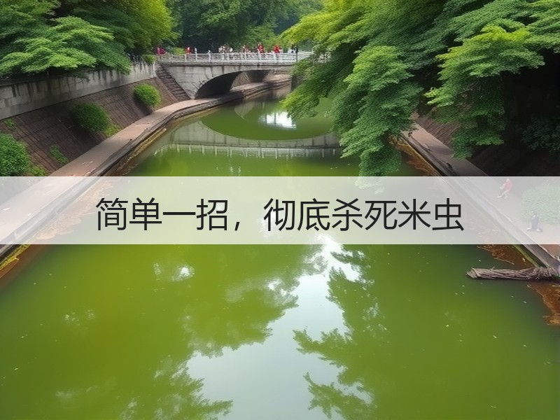 简单一招，彻底杀死米虫