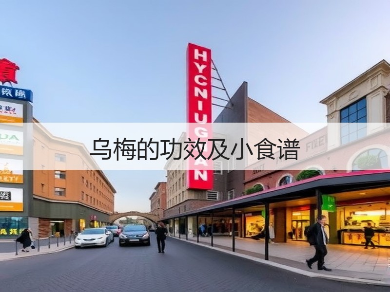 乌梅的功效及小食谱