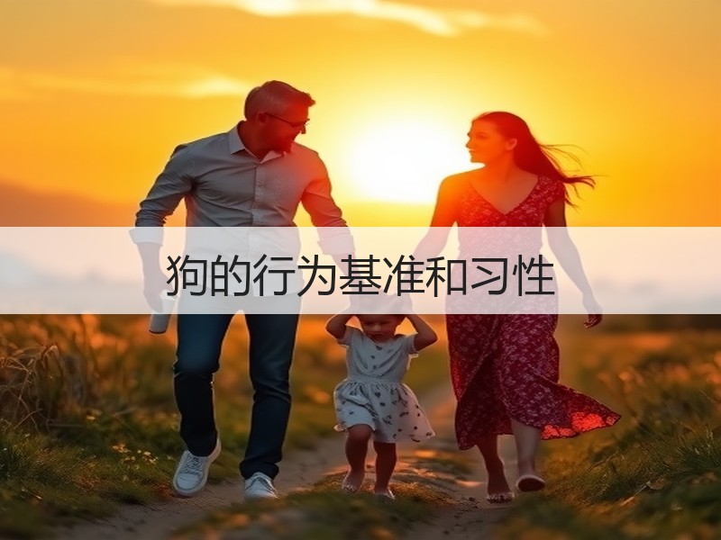 狗的行为基准和习性
