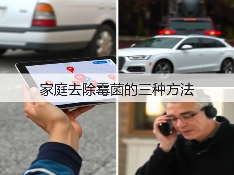 家庭去除霉菌的三种方法