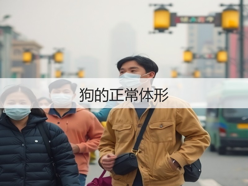 狗的正常体形