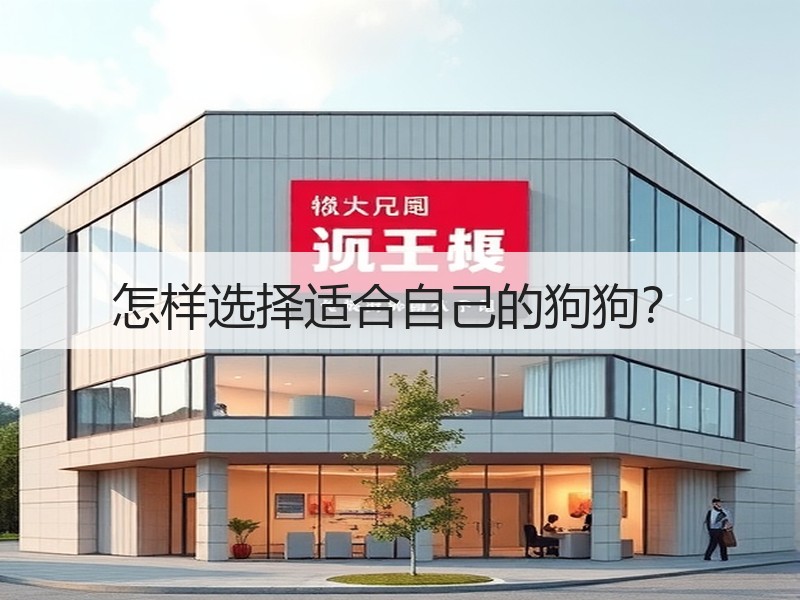 怎样选择适合自己的狗狗？