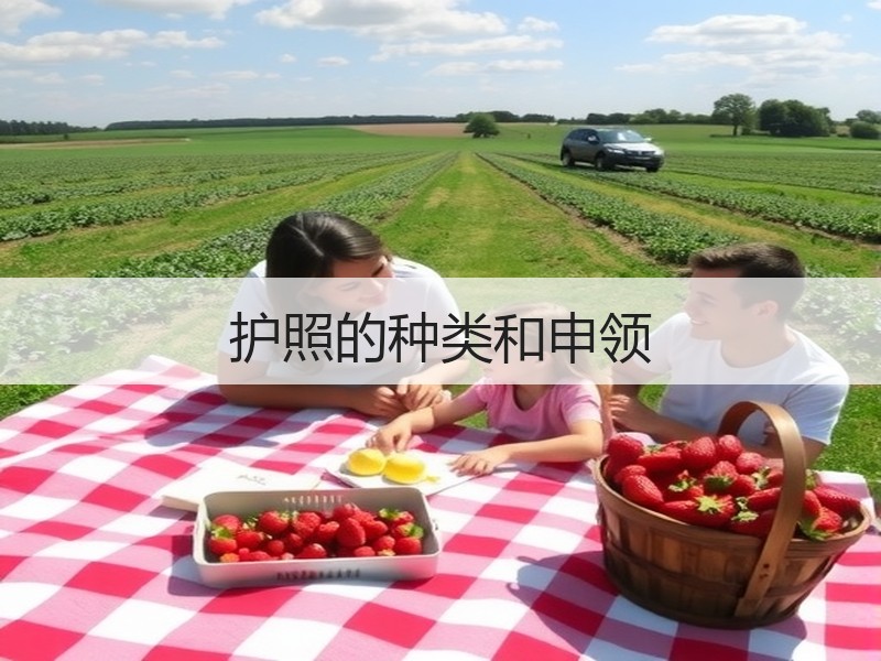 护照的种类和申领