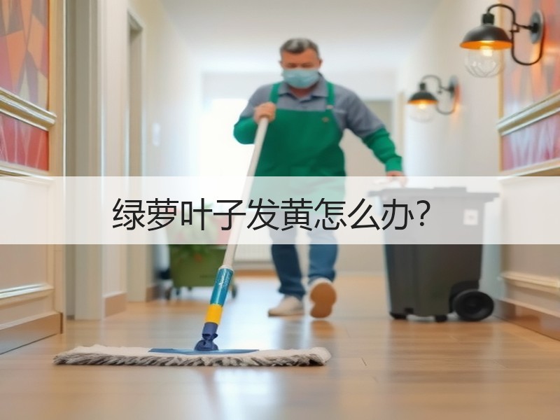 绿萝叶子发黄怎么办？