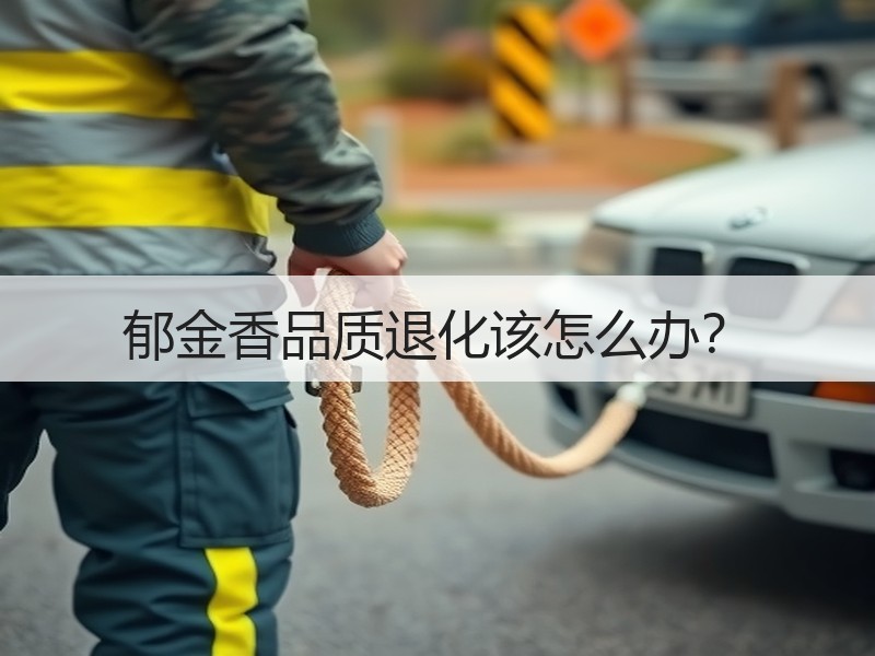 郁金香品质退化该怎么办？