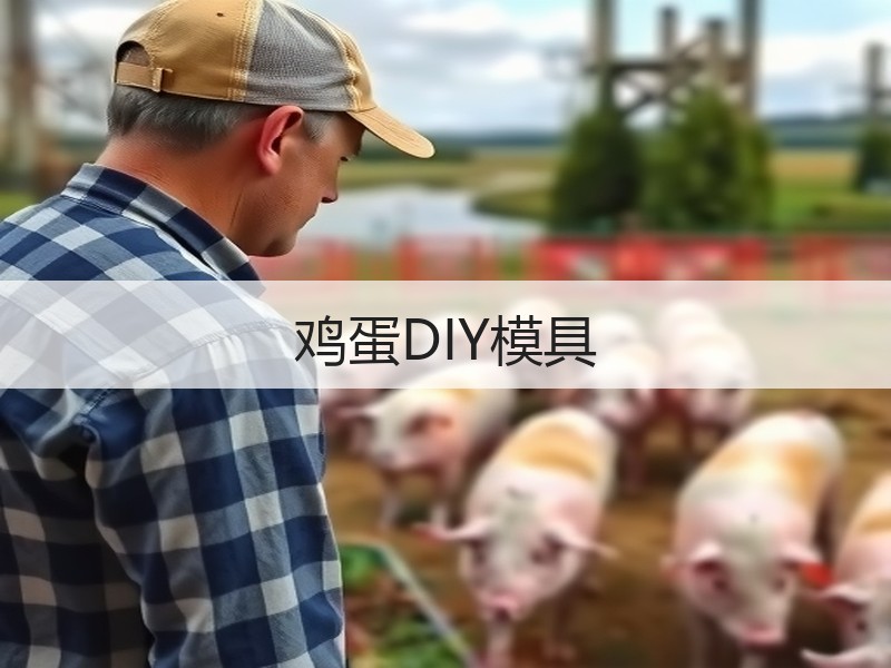 鸡蛋DIY模具