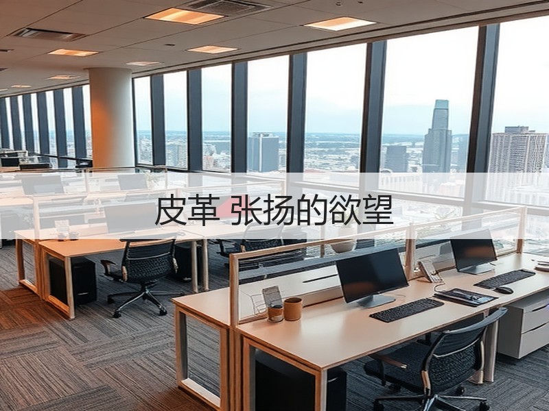 皮革 张扬的欲望