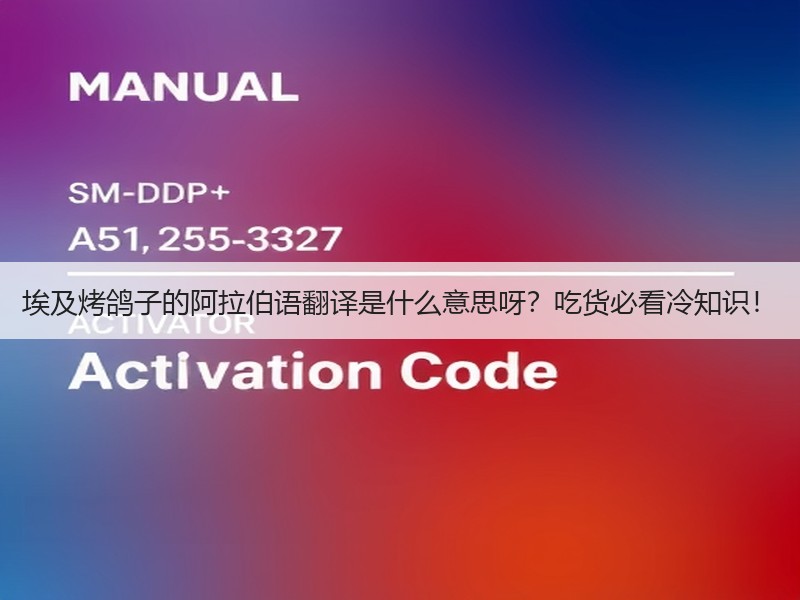 埃及烤鸽子的阿拉伯语翻译是什么意思呀？吃货必看冷知识！