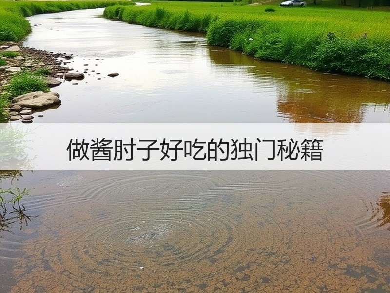 做酱肘子好吃的独门秘籍