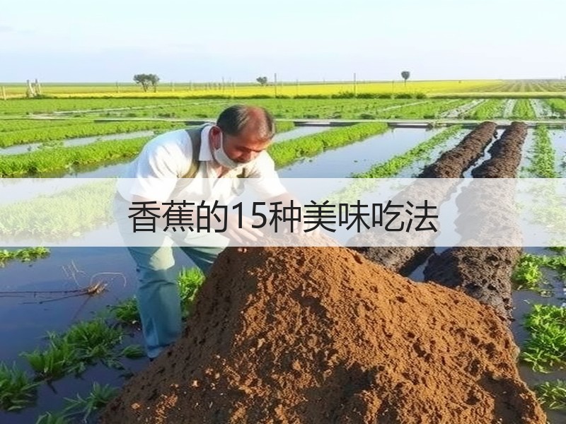 香蕉的15种美味吃法
