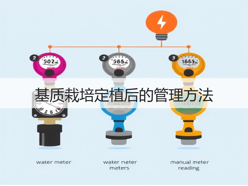 基质栽培定植后的管理方法