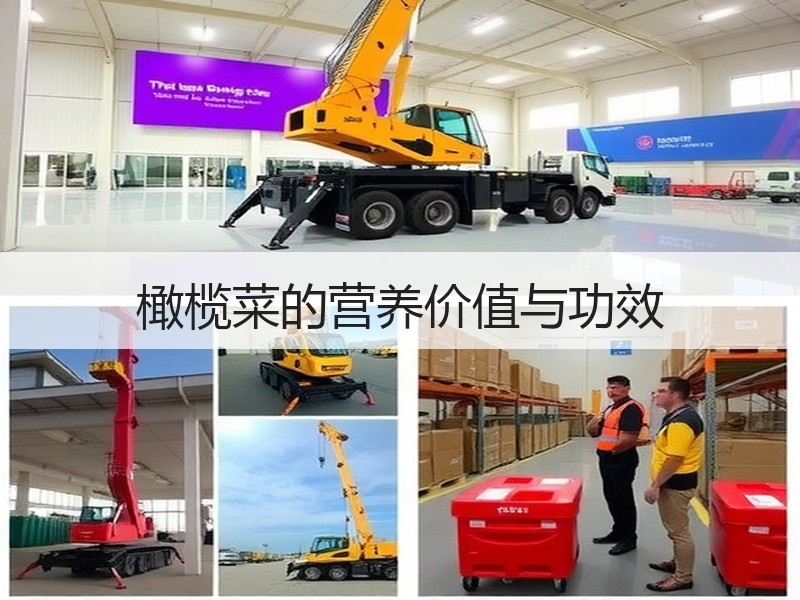 橄榄菜的营养价值与功效