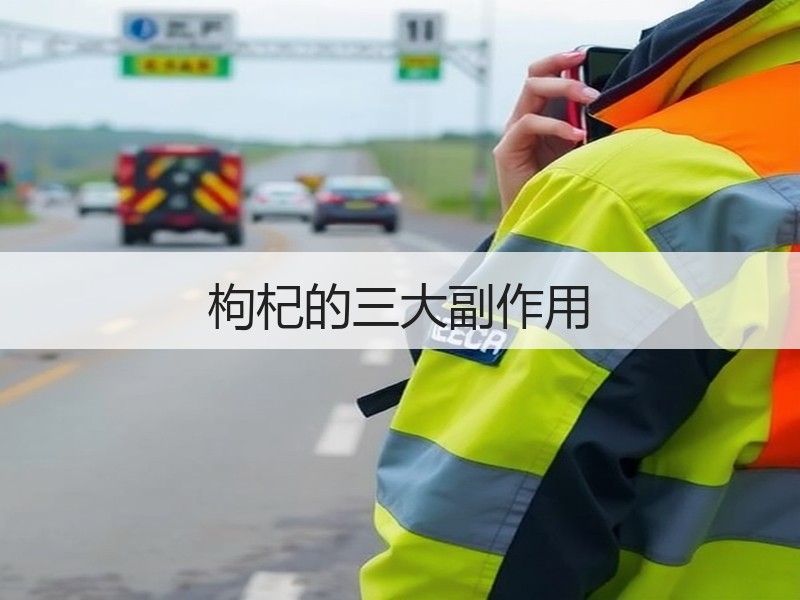 枸杞的三大副作用