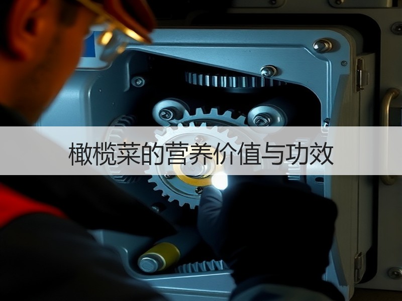橄榄菜的营养价值与功效