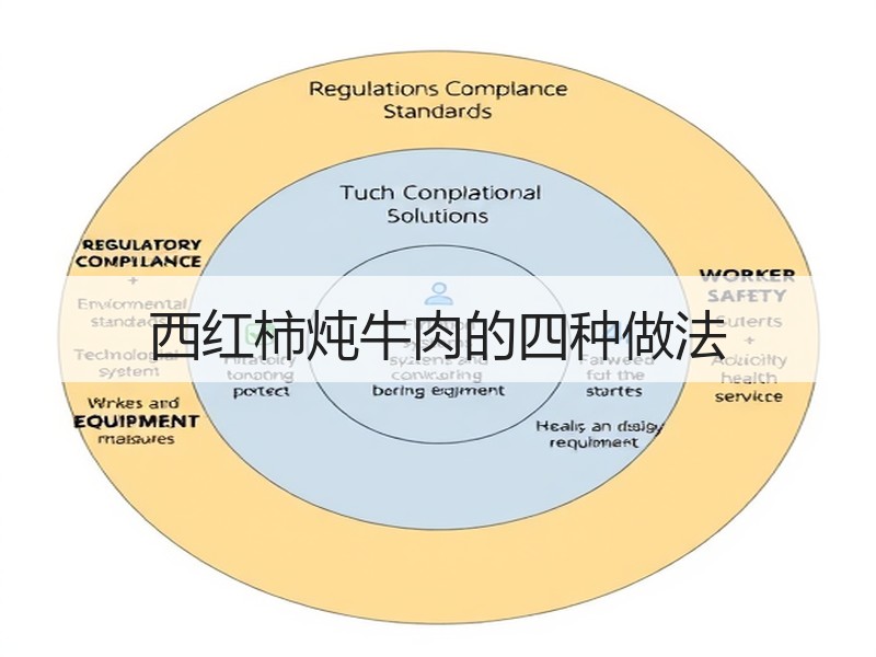 西红柿炖牛肉的四种做法