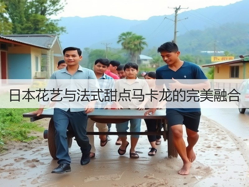 日本花艺与法式甜点马卡龙的完美融合