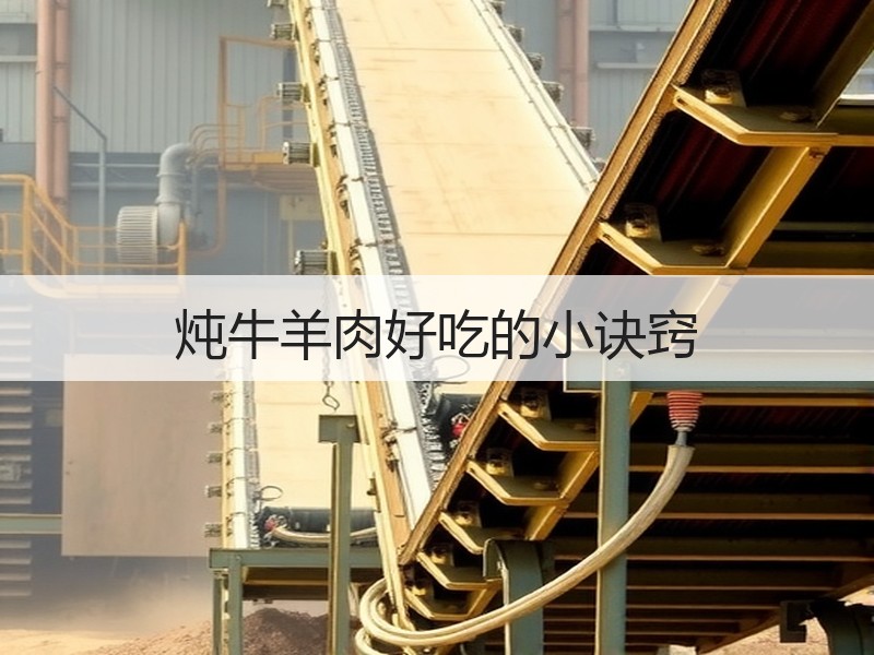炖牛羊肉好吃的小诀窍
