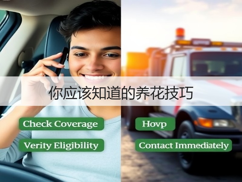 你应该知道的养花技巧